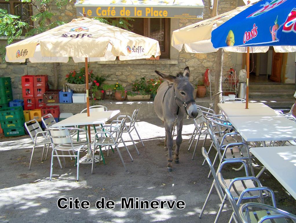 Hotel Las Cigalas Villeneuve-lès-Béziers Eksteriør billede